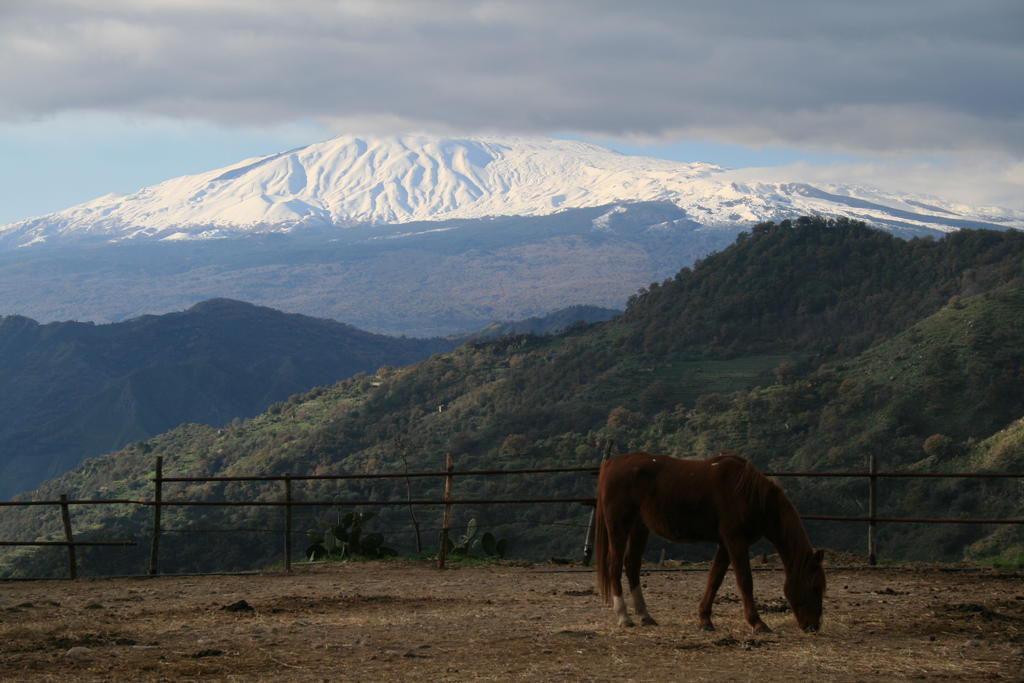 Agriturismo San Cataldo Motta Camastra Kültér fotó